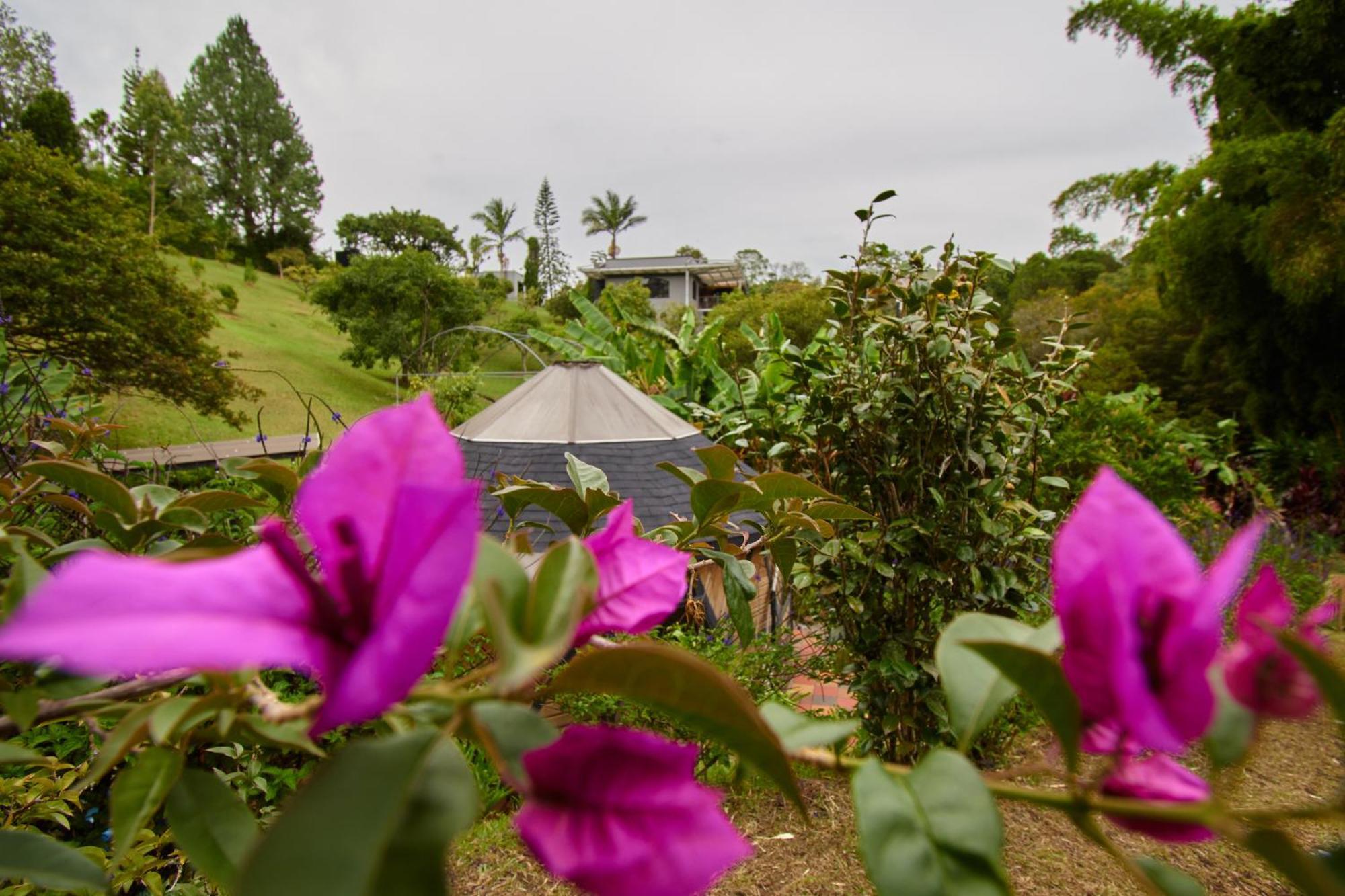 Kokumi By Bernalo Hotels Rionegro Exterior photo